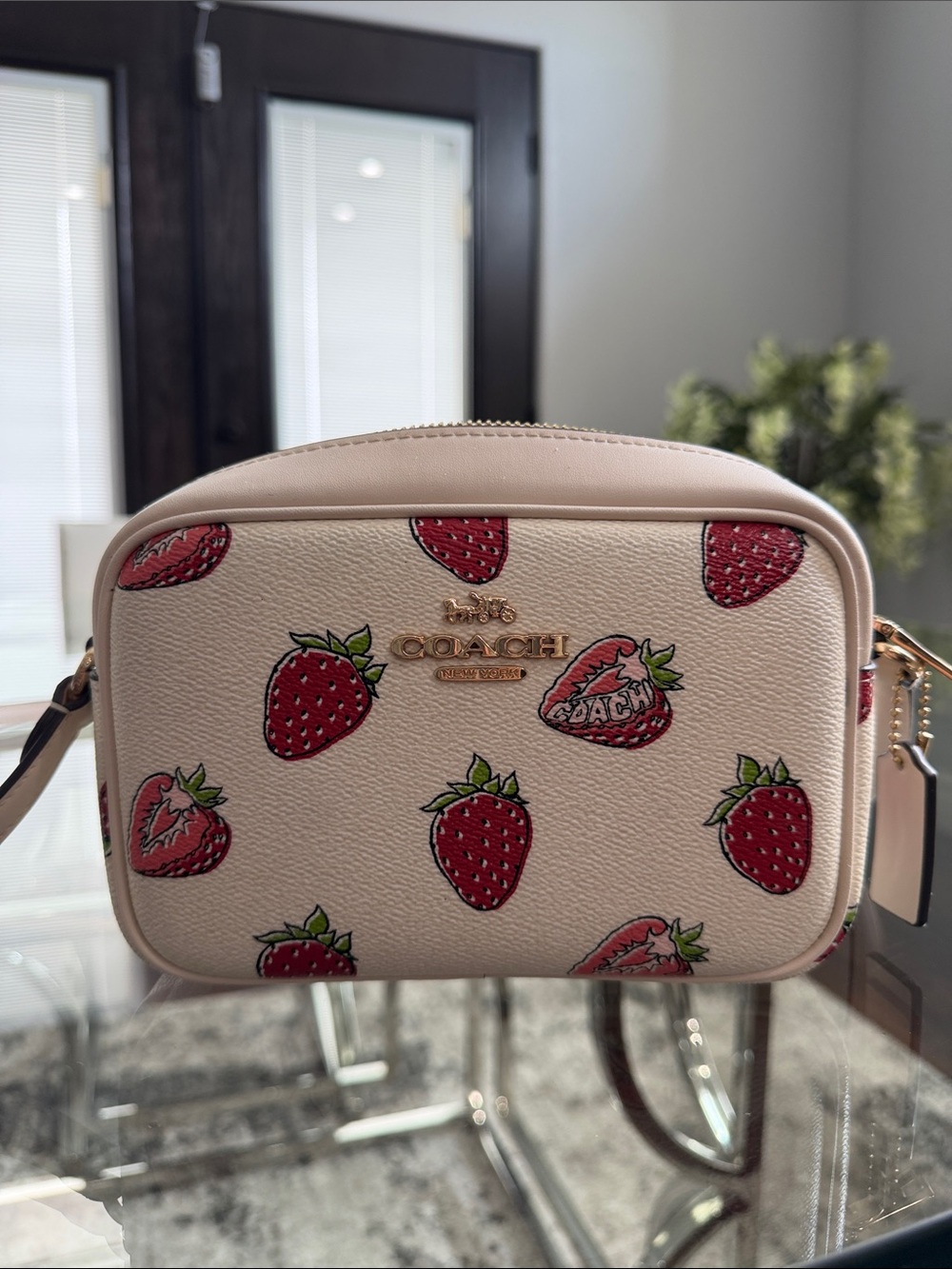 Coach Pink Strawberry Print Crossbody Camera Bag